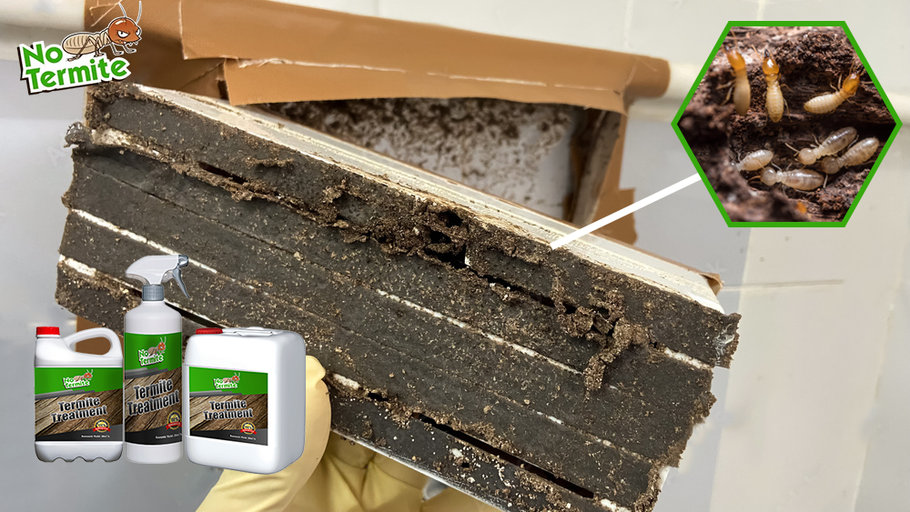 Ovatko sijoituksesi turvassa termiiteiltä?
