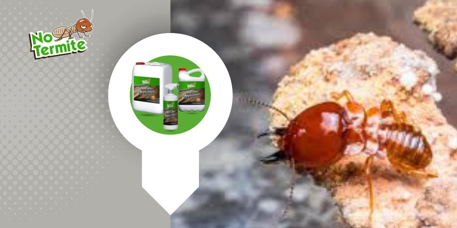 Kuinka poistaa termiitit vahingoittamatta ympäristöä?