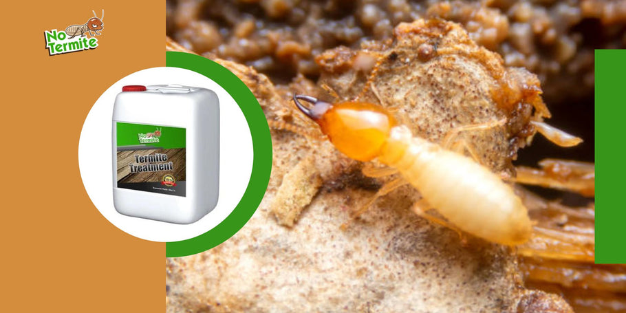 Mitä sudenkuoppia tulee välttää termiittejä vastaan ​​taisteltaessa?