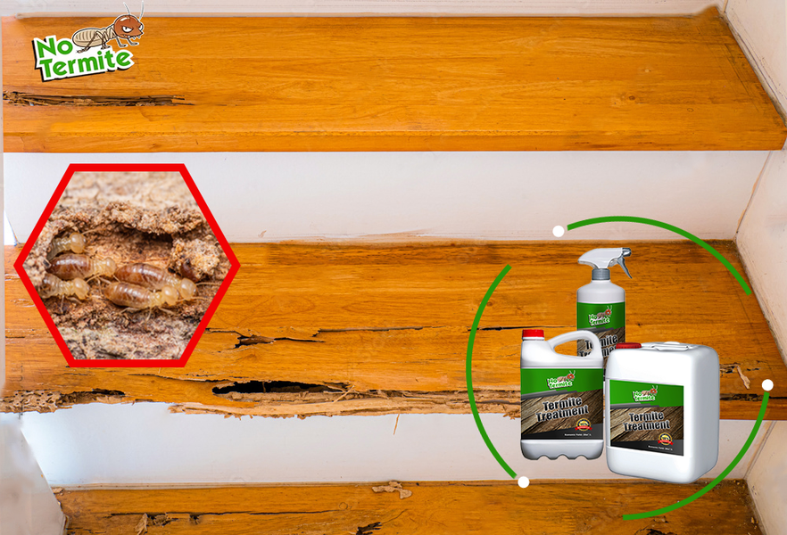 Ovatko kotisi termiittejä kestäviä?